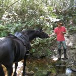 Black Horse Trails